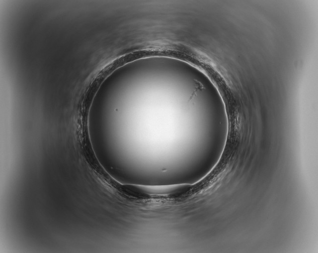 X0000093401304200710190916