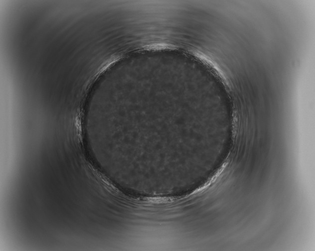 X0000093401305200710190916