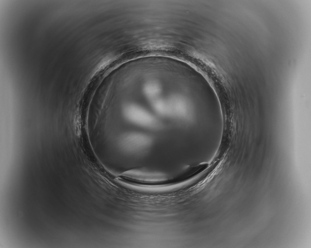 X0000093401306200710190916