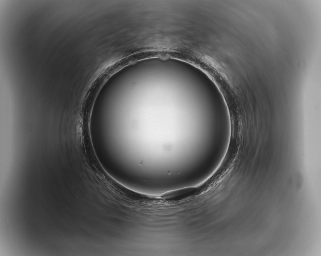 X0000093401307200710190916