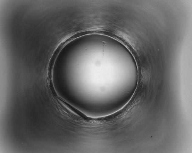 X0000093401308200710190916