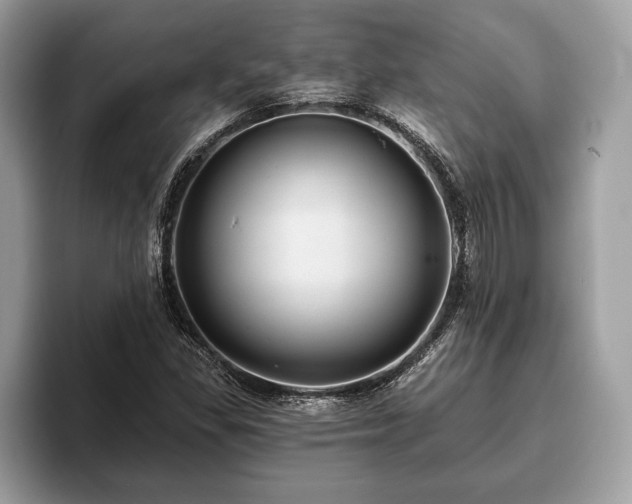 X0000093401309200710190916