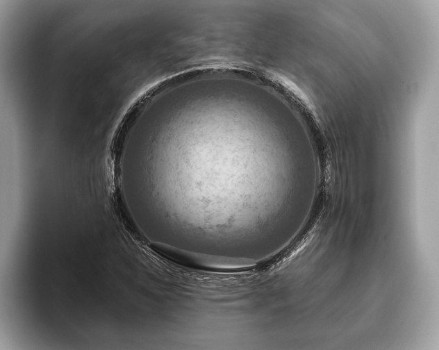 X0000093401310200710190916