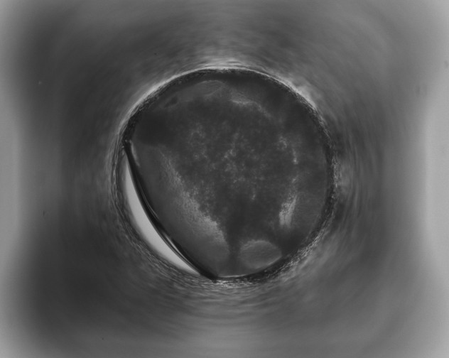 X0000093401311200710190916