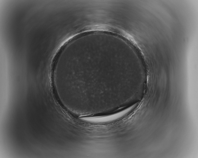 X0000093401312200710190916