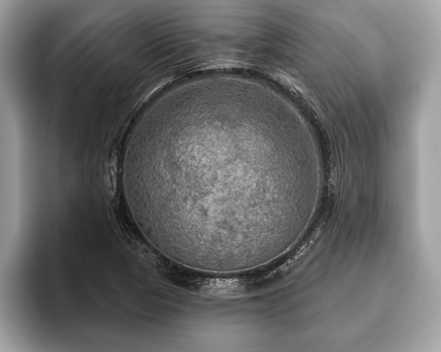 X0000093401313200710190916