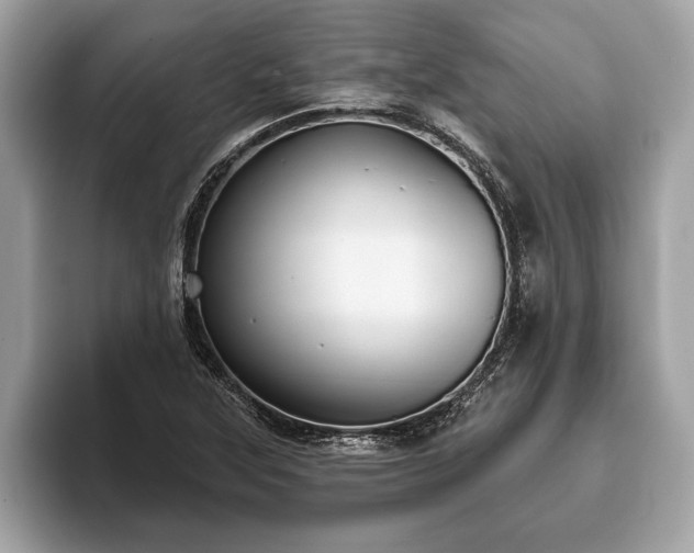 X0000093401315200710190916