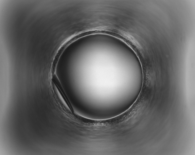 X0000093401316200710190916
