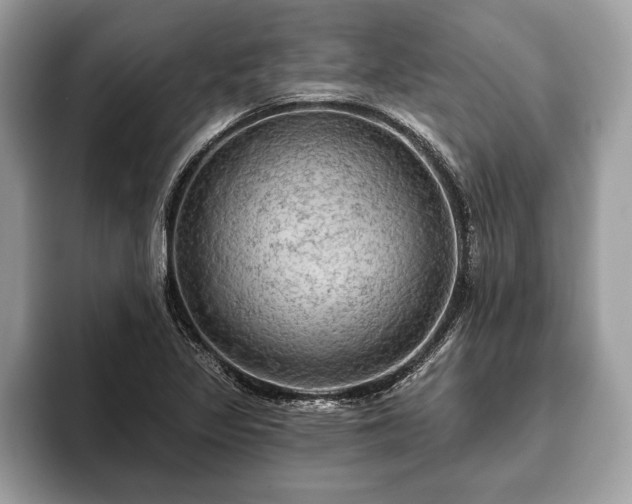 X0000093401317200710190916