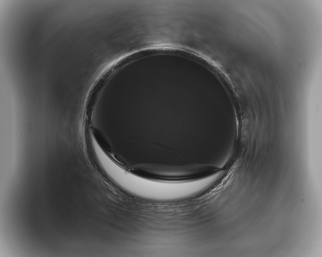 X0000093401319200710190916