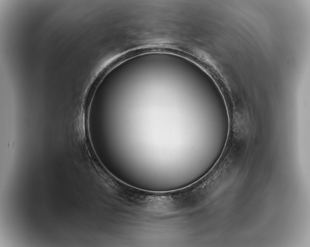 X0000093401320200710190916