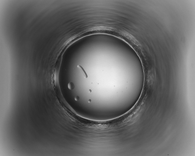X0000093401321200710190916