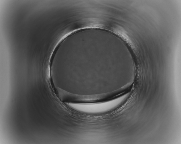 X0000093401324200710190916