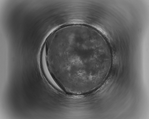 X0000093401325200710190916
