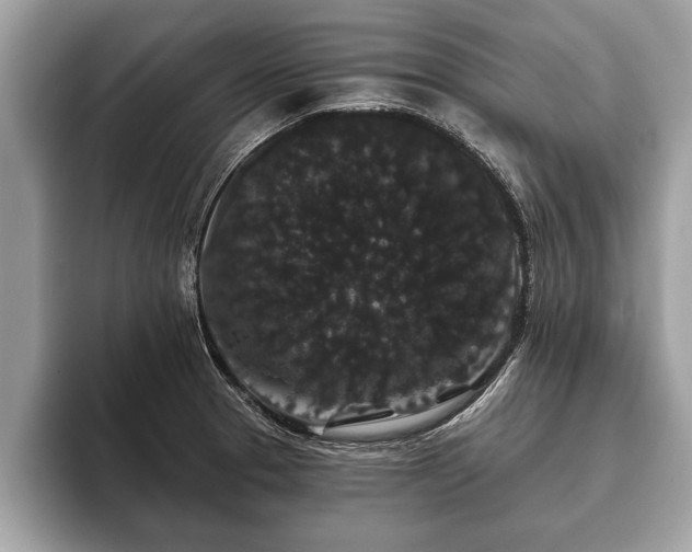 X0000093401329200710190916