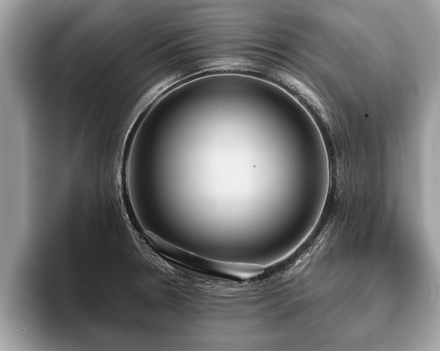 X0000093401330200710190916