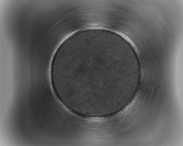 X0000093401333200710190916