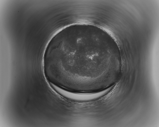 X0000093401335200710190916