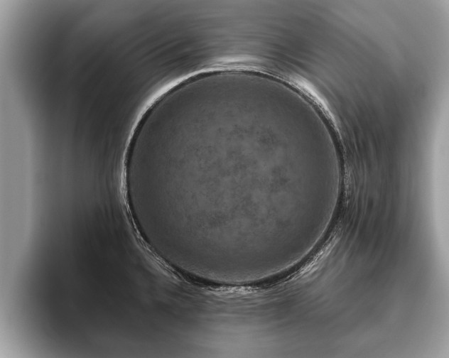 X0000093401336200710190916