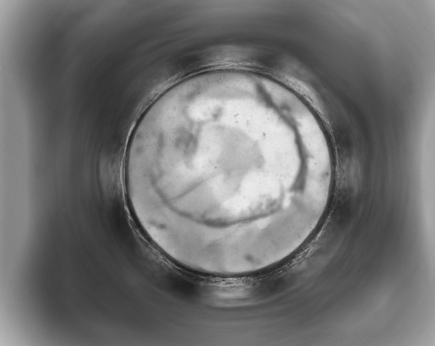 X0000093401338200710190916