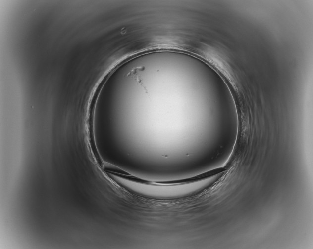 X0000093401339200710190916