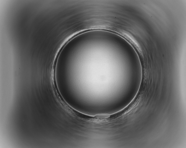 X0000093401340200710190916