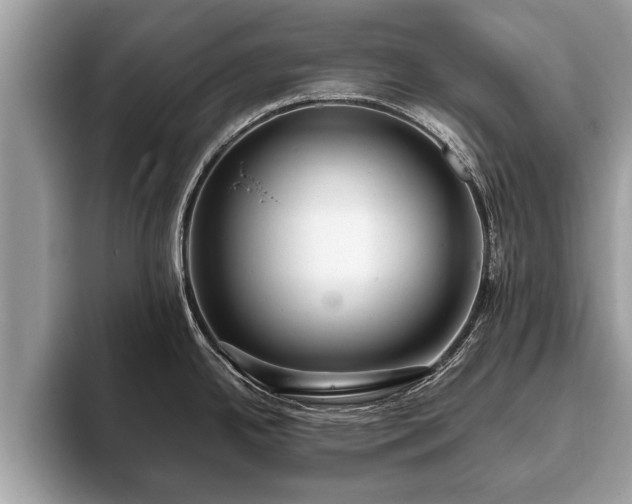 X0000093401342200710190916