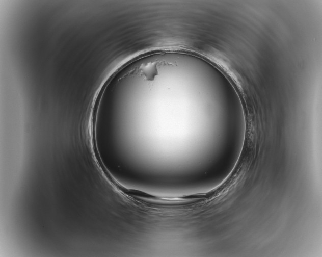 X0000093401343200710190916