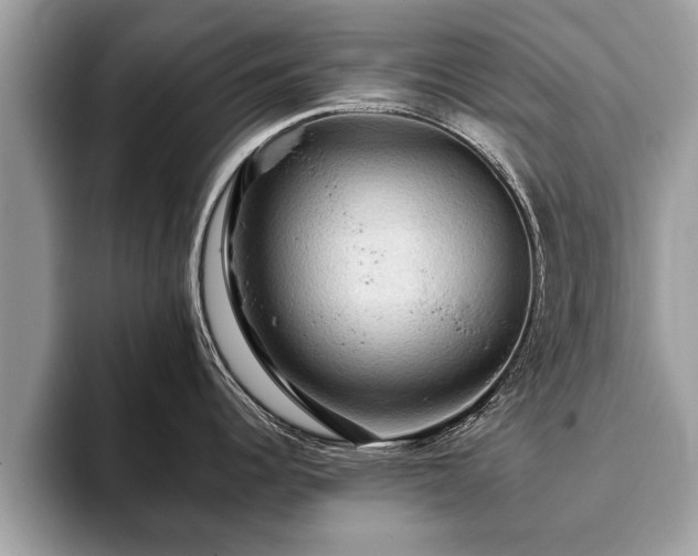 X0000093401344200710190916