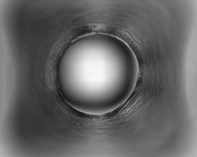 X0000093401345200710190916
