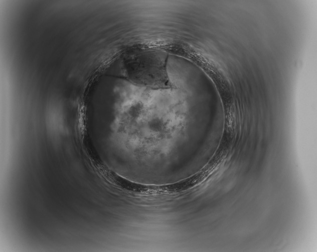 X0000093401346200710190916
