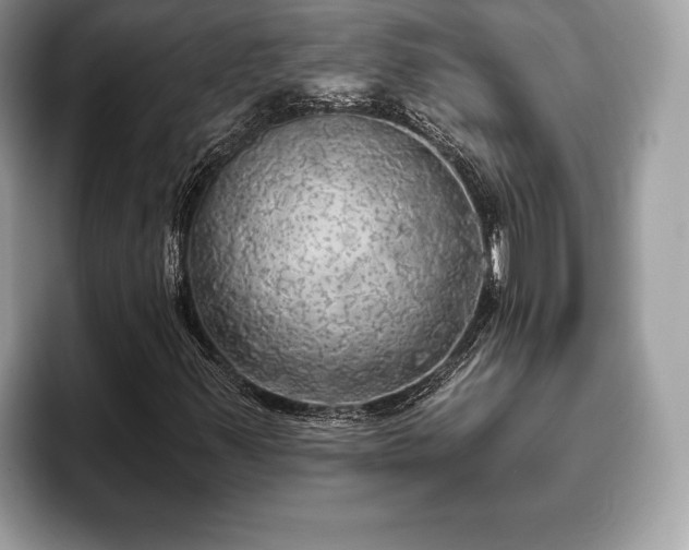 X0000093401347200710190916
