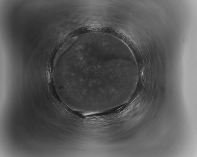 X0000093401348200710190916