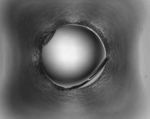 X0000093401349200710190916