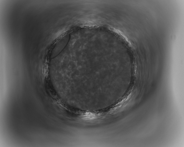X0000093401350200710190916