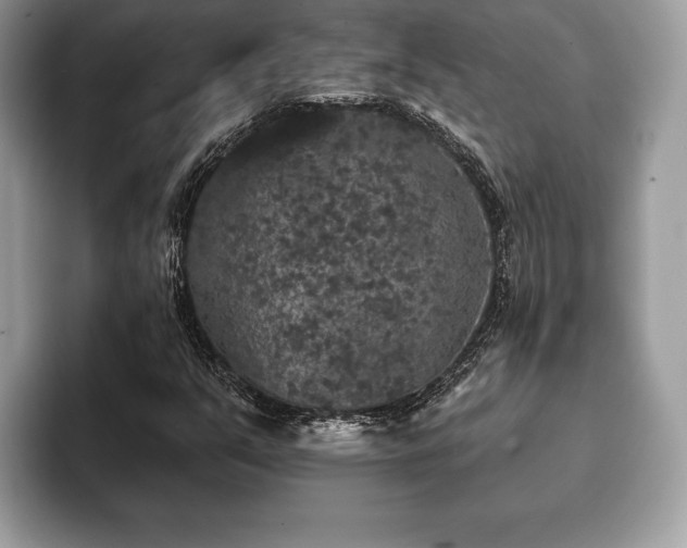 X0000093401351200710190916