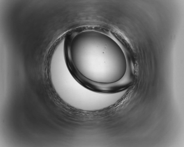 X0000093401352200710190916