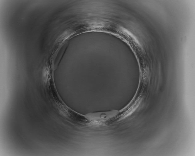 X0000093401353200710190916