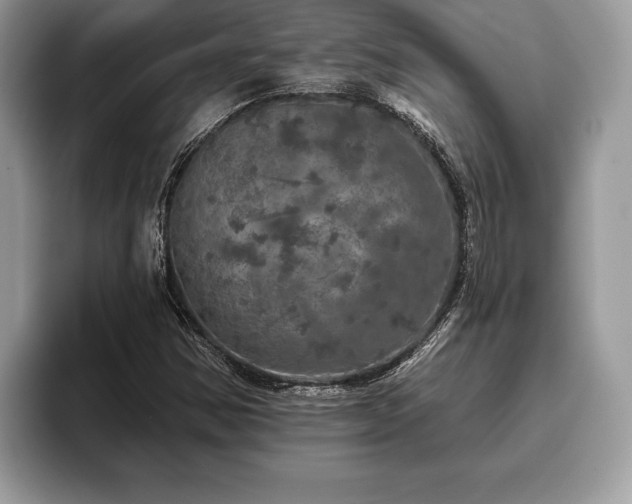X0000093401354200710190916