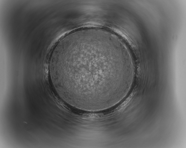 X0000093401355200710190916