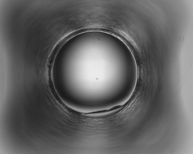 X0000093401356200710190916