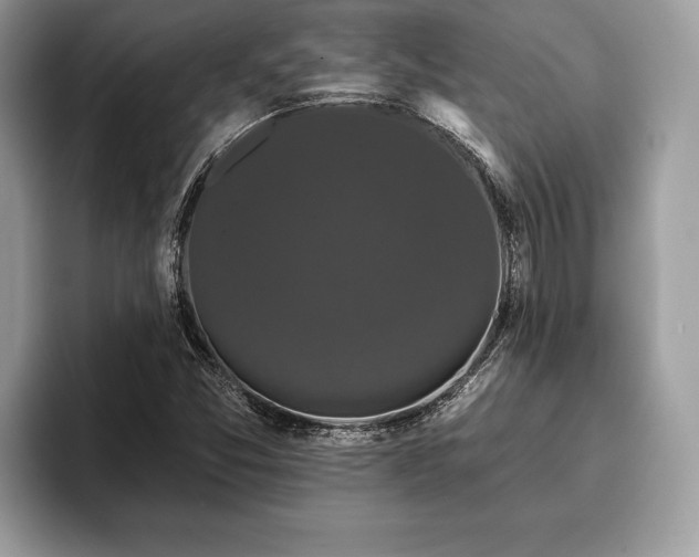 X0000093401357200710190916