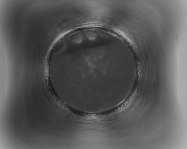 X0000093401358200710190916