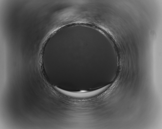 X0000093401359200710190916