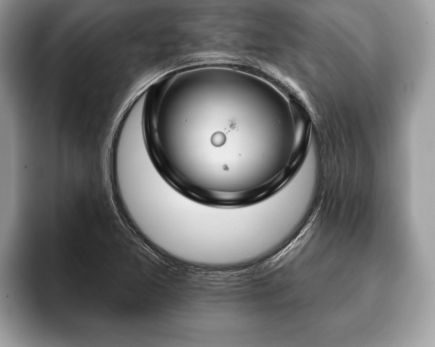 X0000093401365200710190915