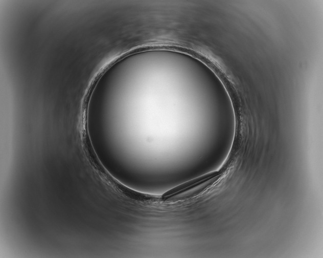 X0000093401366200710190915