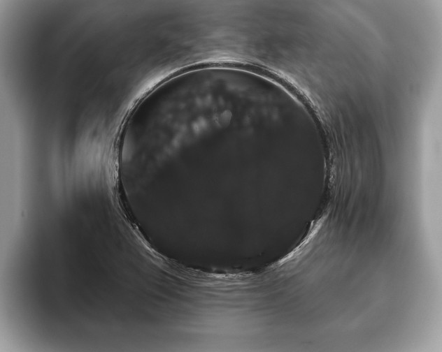 X0000093401367200710190915