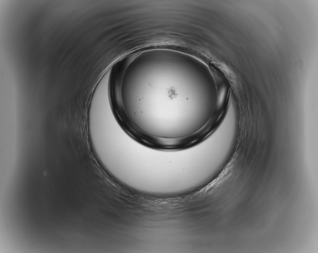 X0000093401369200710190915