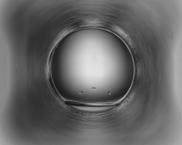 X0000093401370200710190915