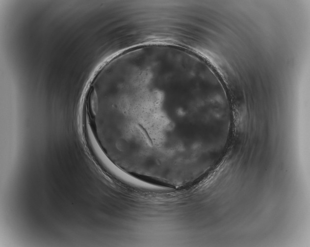 X0000093401371200710190915